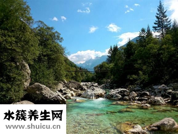 初生嬰兒喝什么奶粉