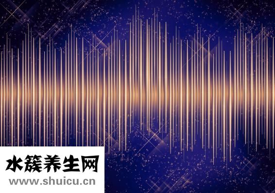 共振享雪怎么樣