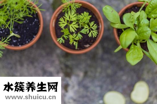 如何提高想象力