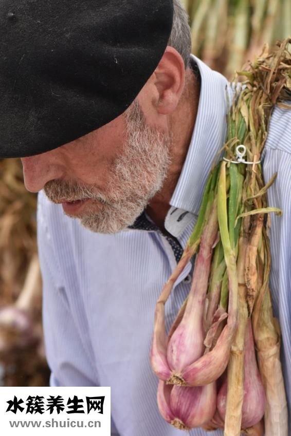 土豆喂羊怎么樣
