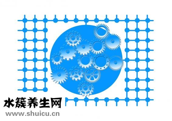 友錄在線怎么樣