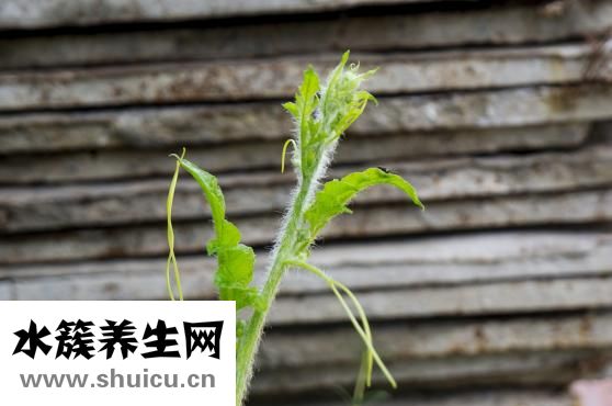 怎么減少紅血絲