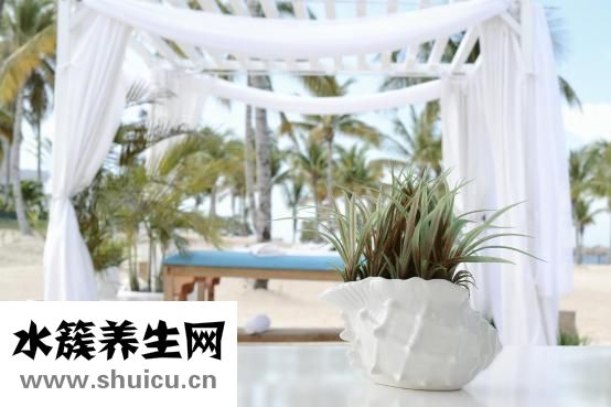 細菌性陰炎怎么治療