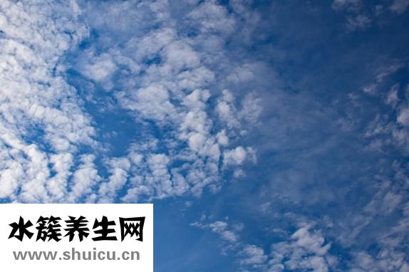 云元谷的茶怎么樣