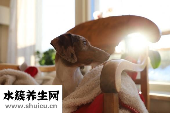 晚上睡覺失眠怎么辦