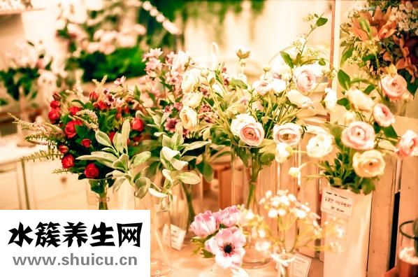 一歲寶寶腹瀉怎么辦