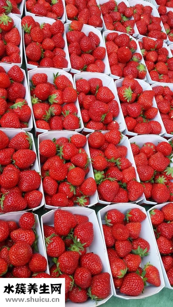 胃疼吃什么食物好