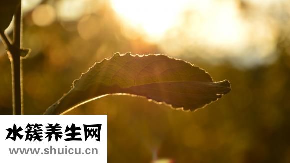 怎么樣曬太陽(yáng)補(bǔ)鈣