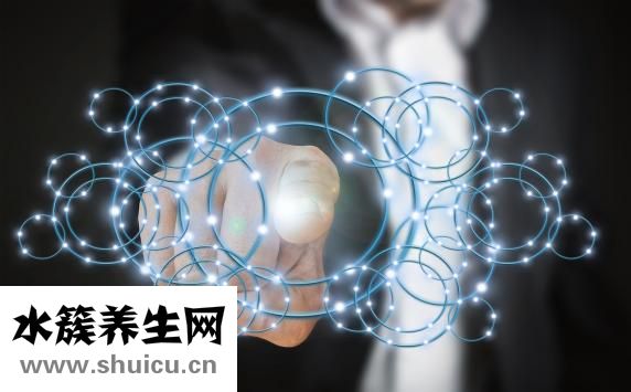 項羽是哪個朝代的