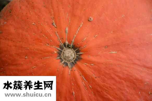 如何控制飲食減肥