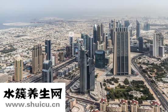 痛風定片怎么樣