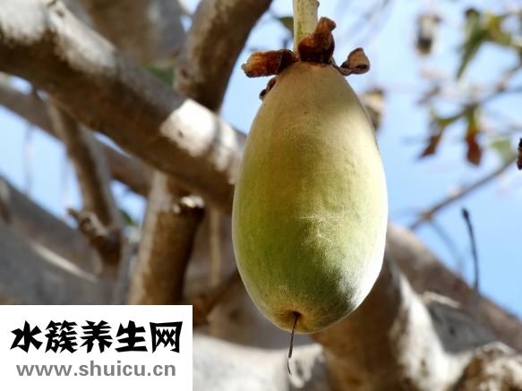 吃螃蟹喝什么酒