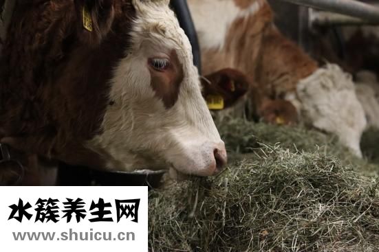 抑郁癥吃什么藥好