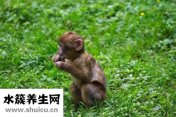 寶寶拉肚怎么辦