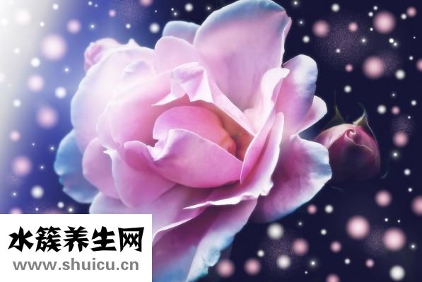 一品康孕婦喝怎么樣