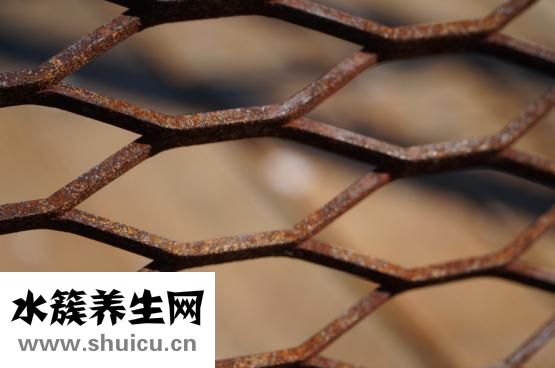 假體隆胸什么材料好