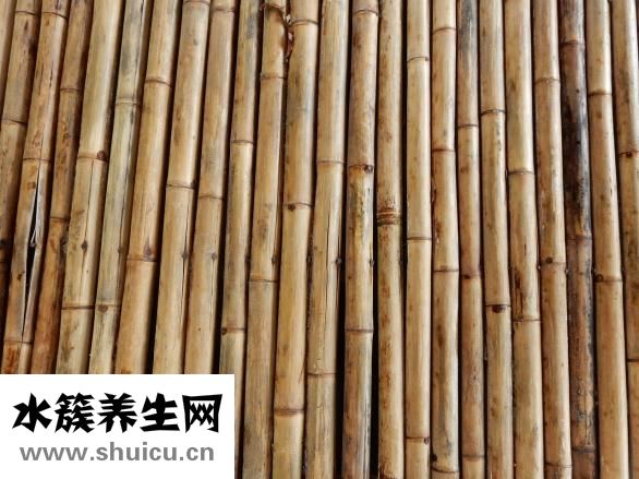 麗得姿豬鼻貼怎么樣