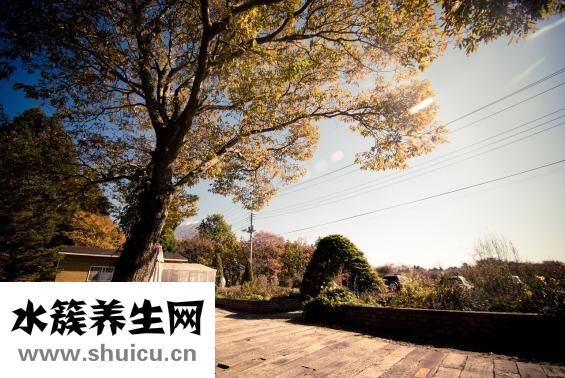 一樓鋪地暖怎么樣