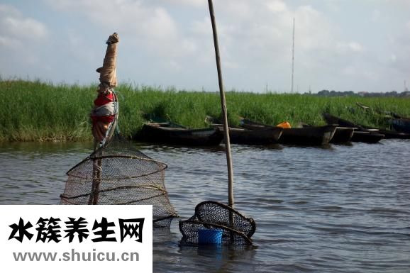 貝暢清清寶怎么樣