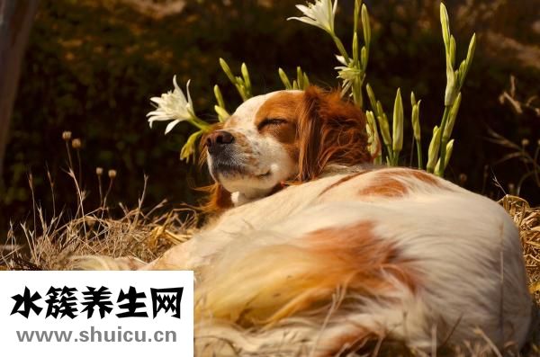 神經衰弱有什么癥狀