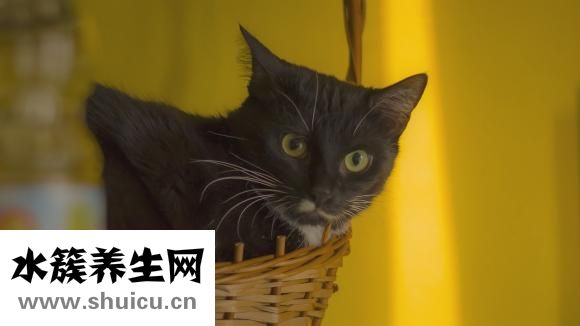 干眼癥沒覺得怎么樣