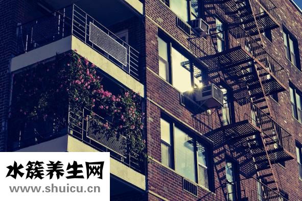 花椰菜怎么做好吃