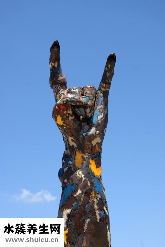 阿魏釣魚怎么用