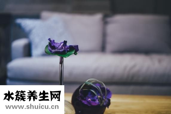 過敏性皮炎如何治療