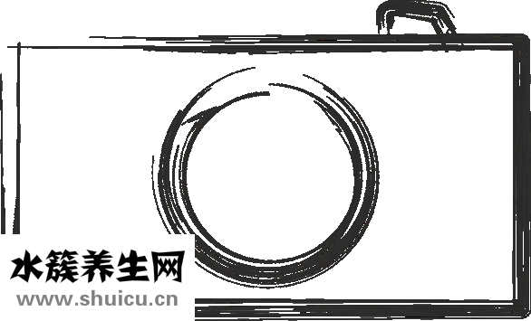 美裕珍珠怎么樣