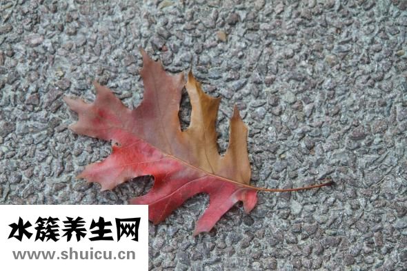 紅血絲怎么祛除