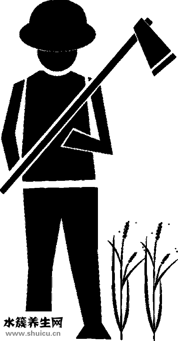 天王表機芯怎么樣