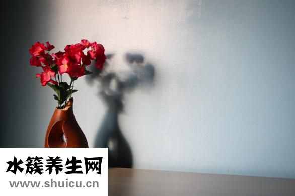 依身伴侶怎么樣