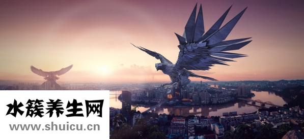 骨折病人不能吃什么