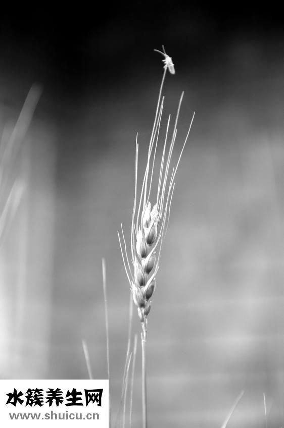 內(nèi)衣穿大了會(huì)怎么樣