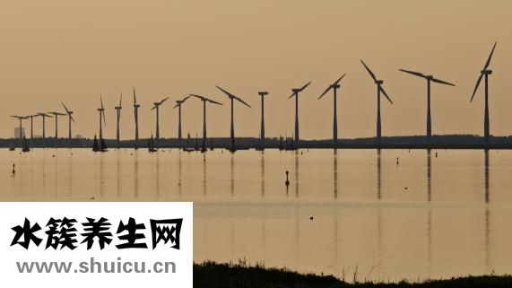 心絞痛吃什么好