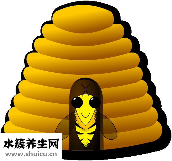 萬事達蜂蜜怎么樣