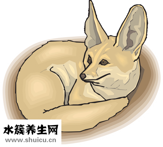 地溝油是什么做的