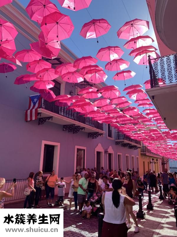 白云豆輕身丸怎么樣