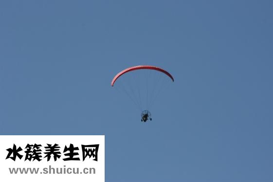 腎結石疼痛怎么辦