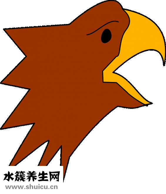 怎么樣給頭發(fā)補(bǔ)水