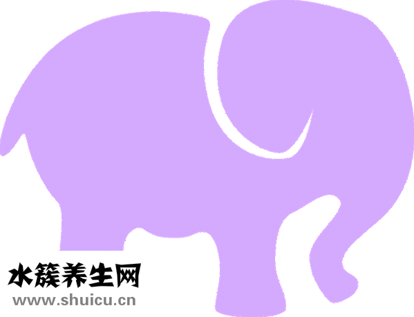 三多奶蛋白怎么樣