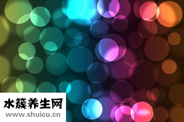 哪些茶葉屬于綠茶