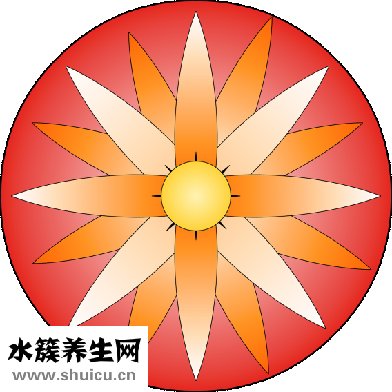 圓臉剪什么發型好看