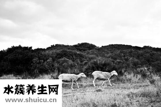 寧夏男人怎么樣