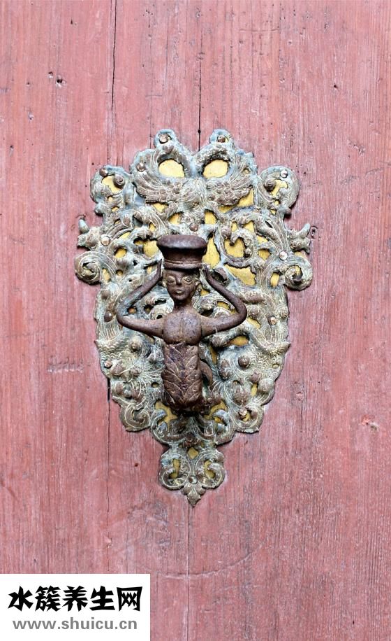 閱微基因怎么樣