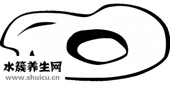 強生妍妍怎么樣