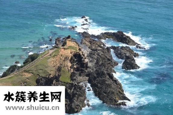 澳州魚油怎么樣