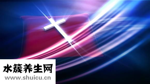 真伊單磊怎么樣