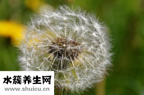 神經衰弱有什么癥狀