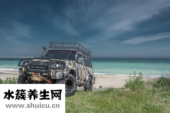 尹蕾蔻兒怎么樣